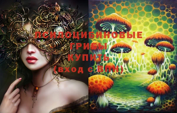 прущая мука Верея